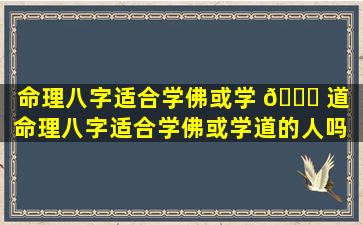 命理八字适合学佛或学 🐈 道「命理八字适合学佛或学道的人吗 🌳 」